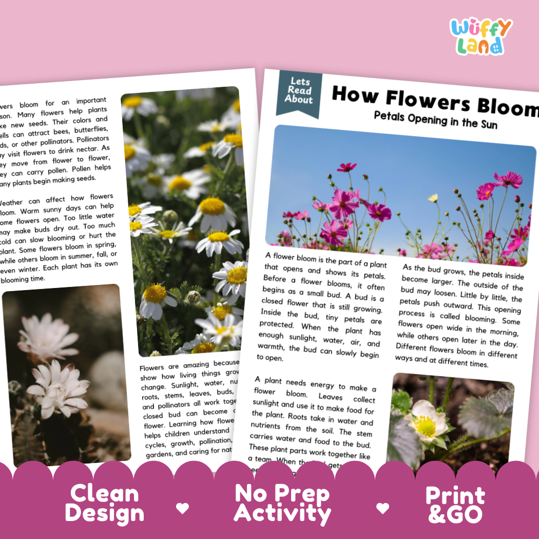 Complete teacher answer key worksheet providing detailed model responses for flower blooming comprehension questions