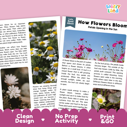 Complete teacher answer key worksheet providing detailed model responses for flower blooming comprehension questions