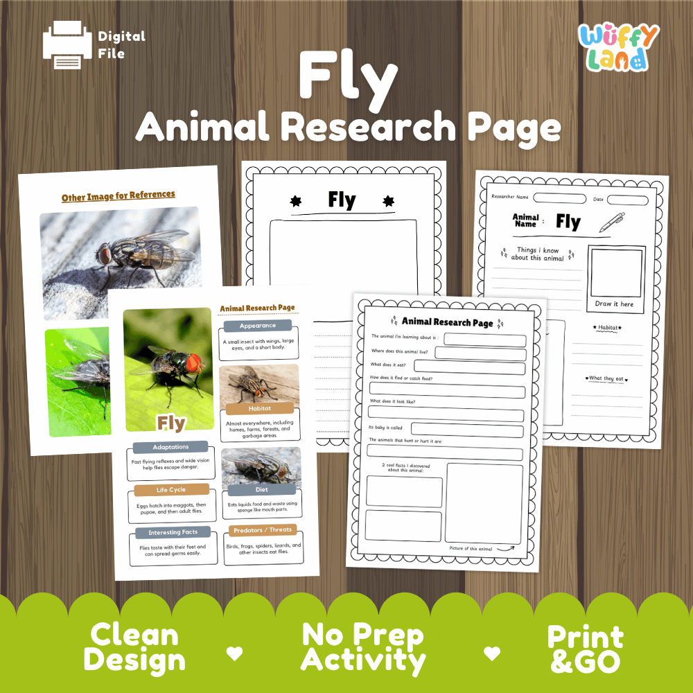 Fly Animal Research Page Worksheets