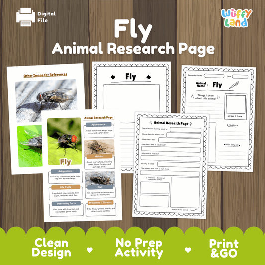 Fly life cycle sequencing reference chart and cut and paste student worksheet with 4 developmental stage
