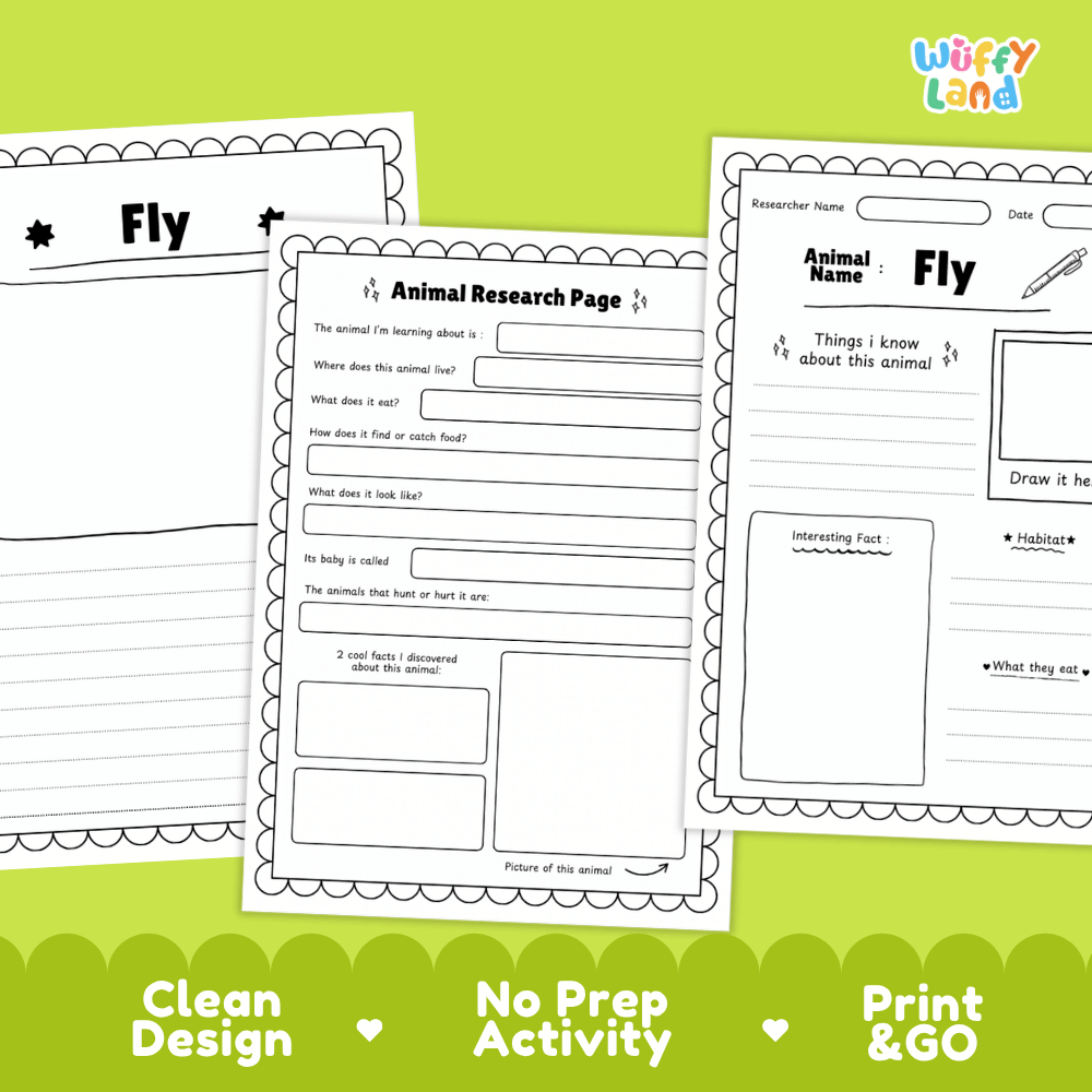 Fly Animal Research Page Worksheets