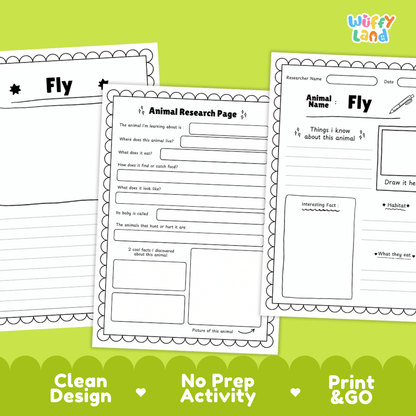 Fly Animal Research Page Worksheets