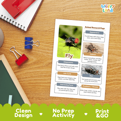 Fly Animal Research Page Worksheets