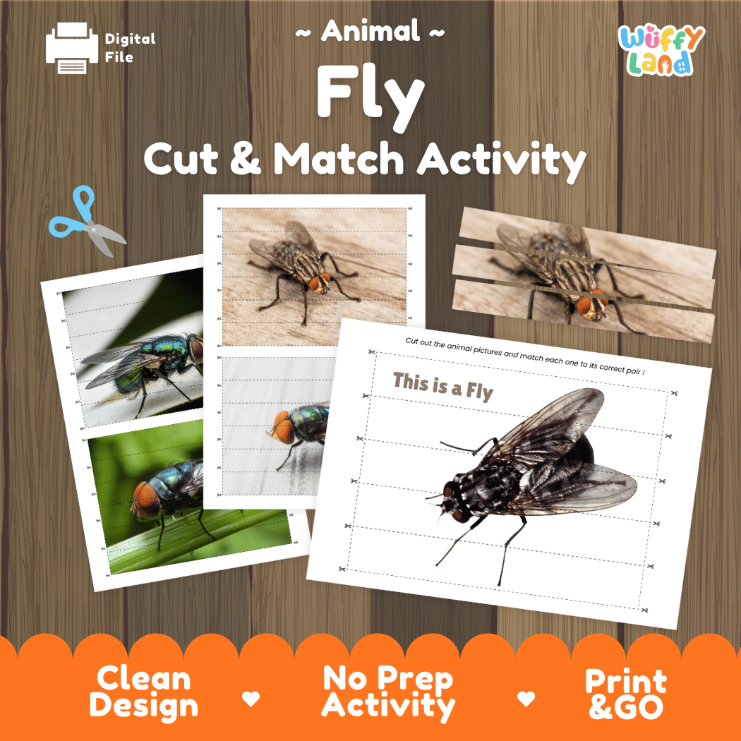Fly Cut and Match Activity Printables Worksheets