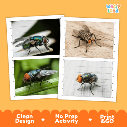Fly Cut and Match Activity Printables Worksheets