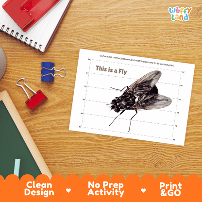 Fly Cut and Match Activity Printables Worksheets