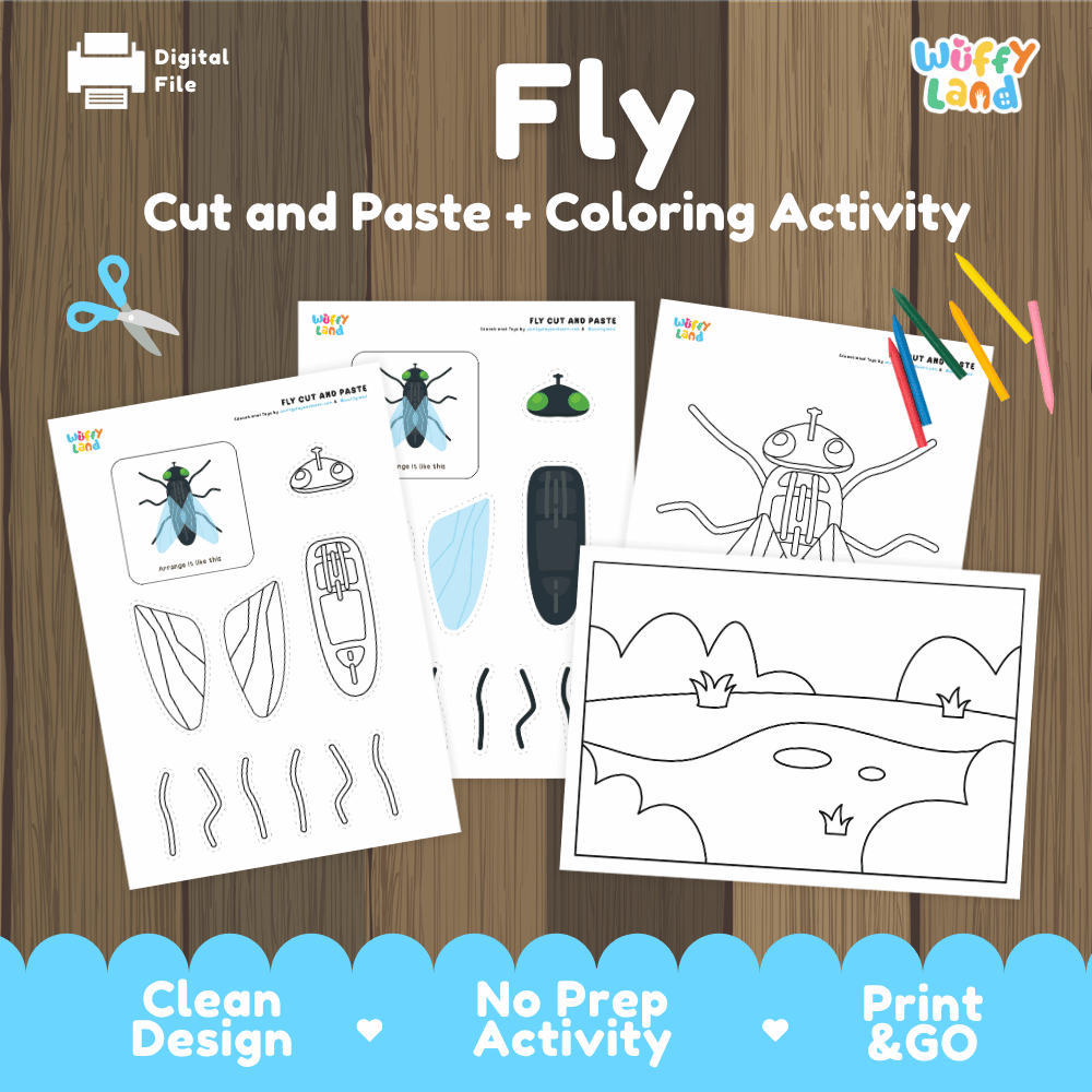 Fly Cut and Paste and Coloring Activity Worksheets