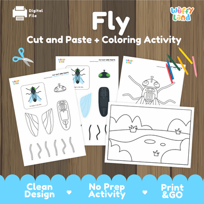 Fly Cut and Paste and Coloring Activity Worksheets