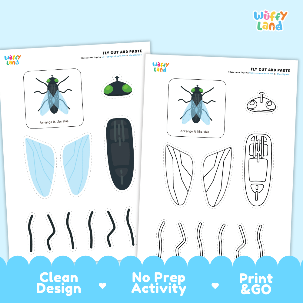 Fly Cut and Paste and Coloring Activity Worksheets