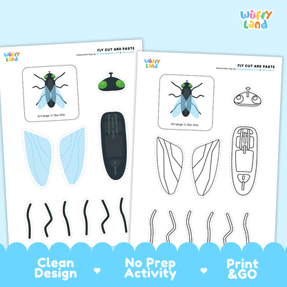 Fly Cut and Paste and Coloring Activity Worksheets