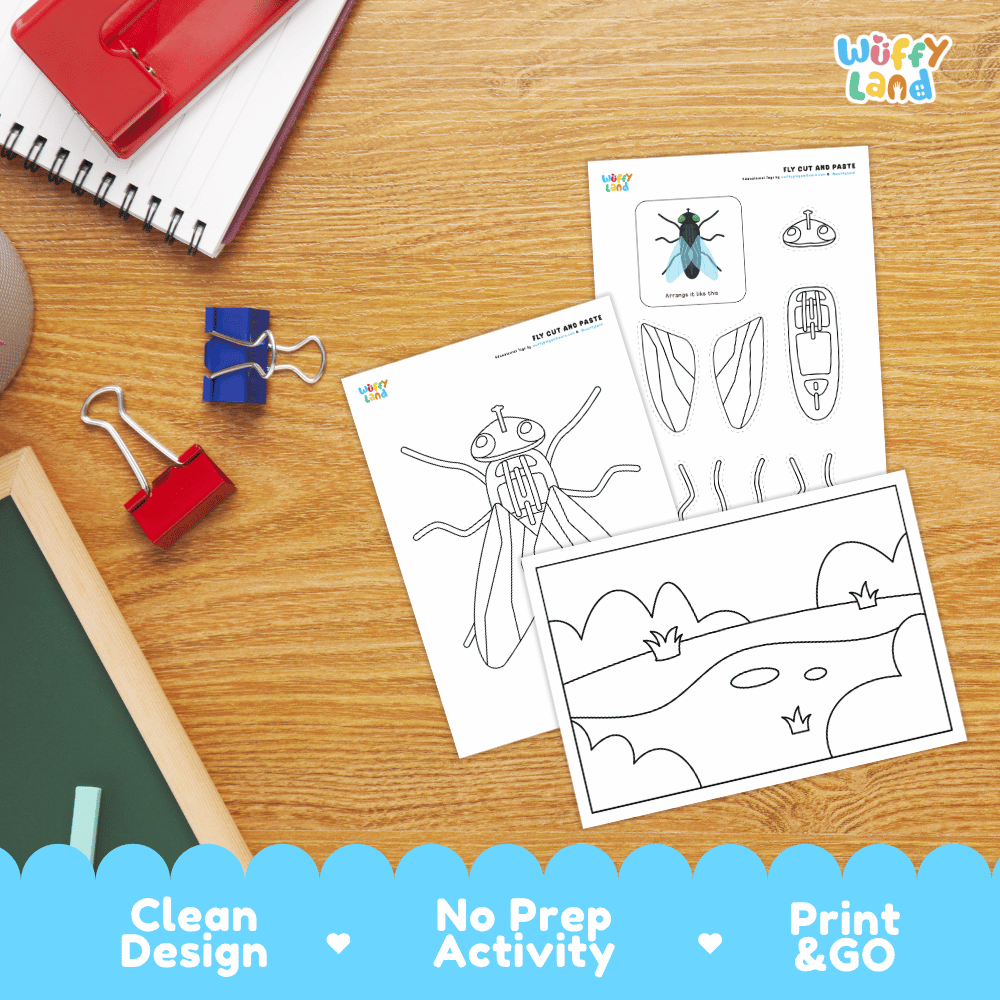 Fly Cut and Paste and Coloring Activity Worksheets