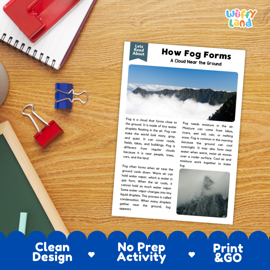 Printable student worksheet with short-answer reading comprehension questions covering fog and weather science