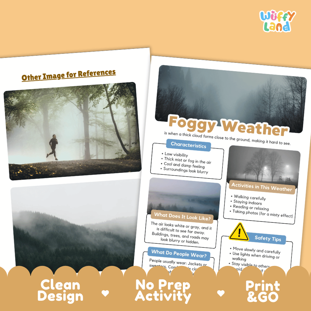 Foggy Weather Research Worksheets and Informational Fact Sheets