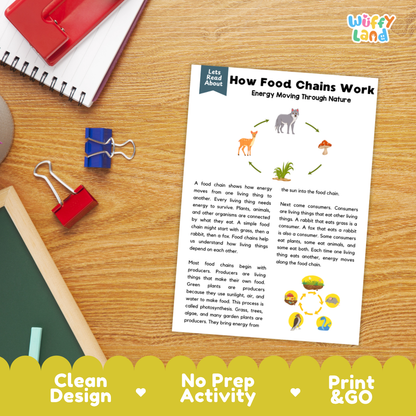 Printable student worksheet with short-answer reading comprehension questions covering food chains and ecology
