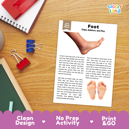 Student reading comprehension worksheet with short-answer questions and lined sections about the human foot