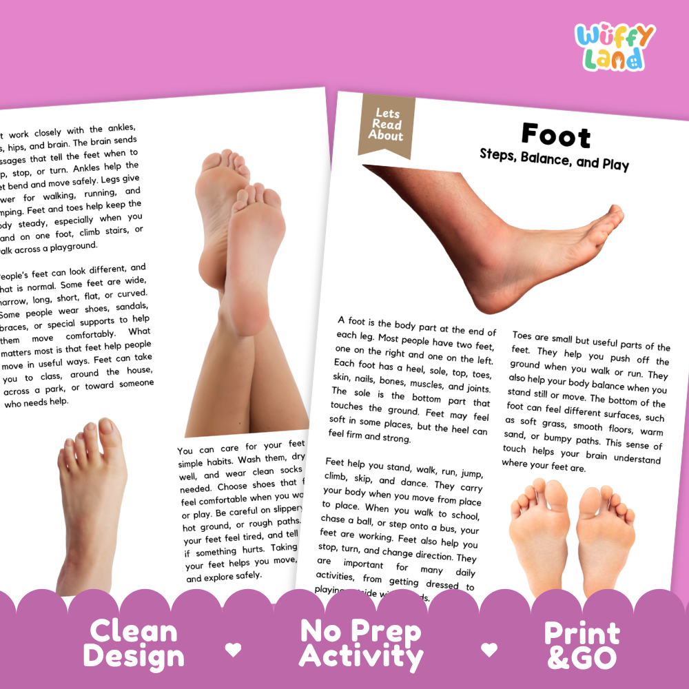 Teacher answer key page showing complete question solutions for Foot human body reading comprehension practice