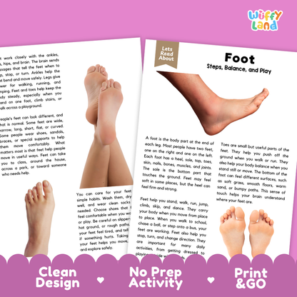 Teacher answer key page showing complete question solutions for Foot human body reading comprehension practice