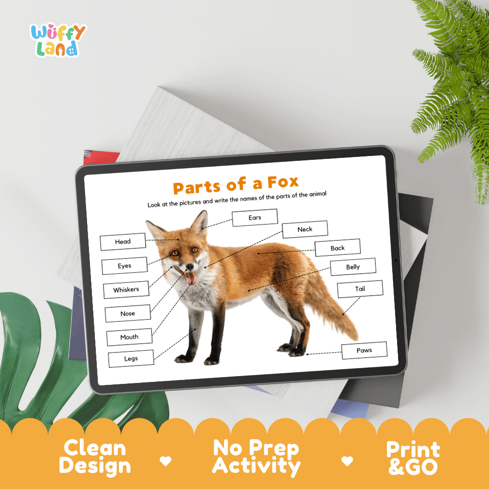 Educational cut and paste fox anatomy worksheet with printable word cutout tiles for head, ears, whiskers, paws, and tail