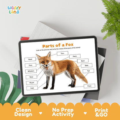 Educational cut and paste fox anatomy worksheet with printable word cutout tiles for head, ears, whiskers, paws, and tail