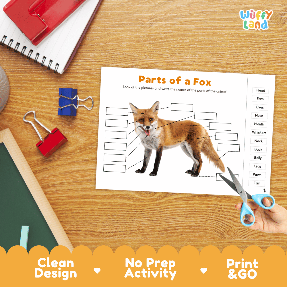 Printable animal body parts worksheet showing a realistic red fox with blank labeling boxes and a vocabulary word bank for writing practice