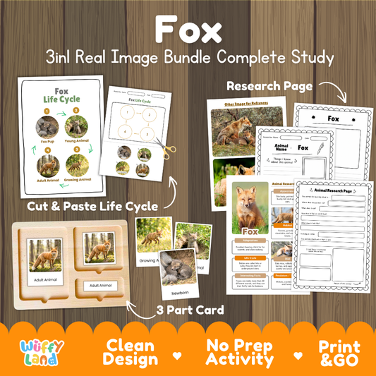 Fox 3-in-1 real image bundle complete study cover showing cut and paste life cycle, 3 part cards, and research pages