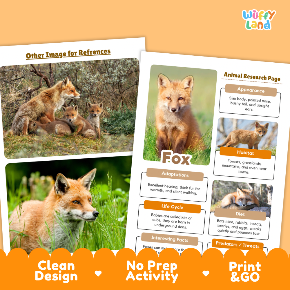 Two printed activity sheets for a fox research project shown on an orange background. The sheets feature photos of foxes, labeled sections for appearance, habitat, adaptations, life cycle, diet, and interesting facts, with the brand name 'Wiffly Land' in the top right.