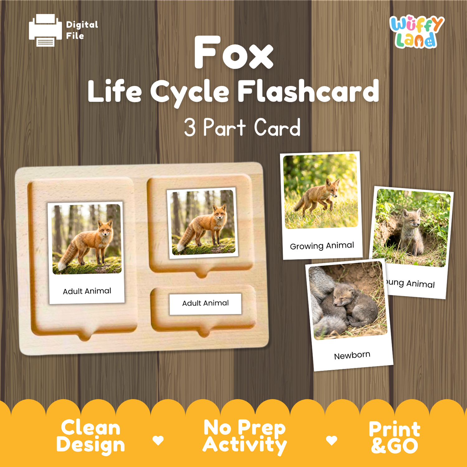 A digital preview of a 'Fox Life Cycle Flashcard' set by Wiffy Land, showing a wooden 3-part card tray with labeled sections for Adult Animal, Growing Animal, and Newborn, alongside sample animal photos on a wood-textured background.