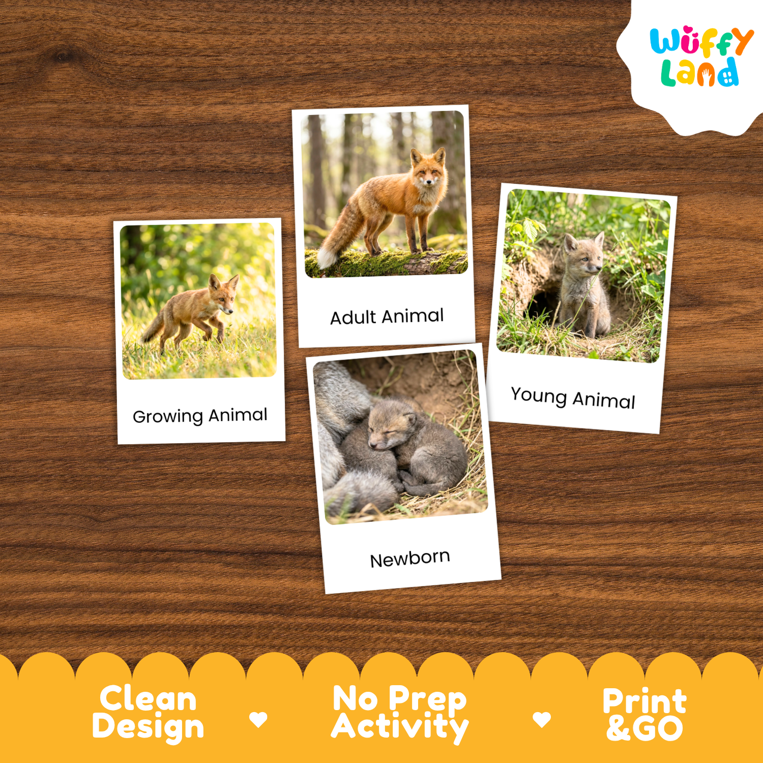 Four educational animal identification cards are arranged on a brown wood-grain background. The cards show labeled photos of animals: a fox labeled 'Growing Animal,' an adult fox labeled 'Adult Animal,' a gray rodent labeled 'Young Animal,' and a newborn gray animal labeled 'Newborn.