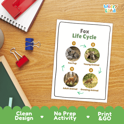 Fox Life Cycle Poster and Cut and Paste Activity Worksheets