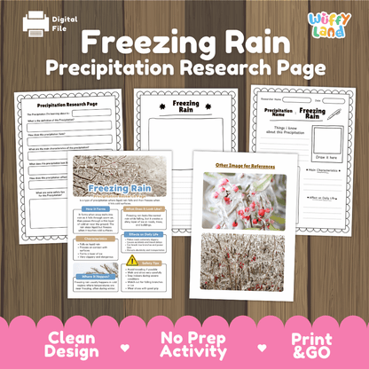 Freezing Rain Precipitation Research Page Worksheets Weather Science Activity