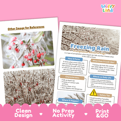 Freezing Rain Precipitation Research Page Worksheets Weather Science Activity