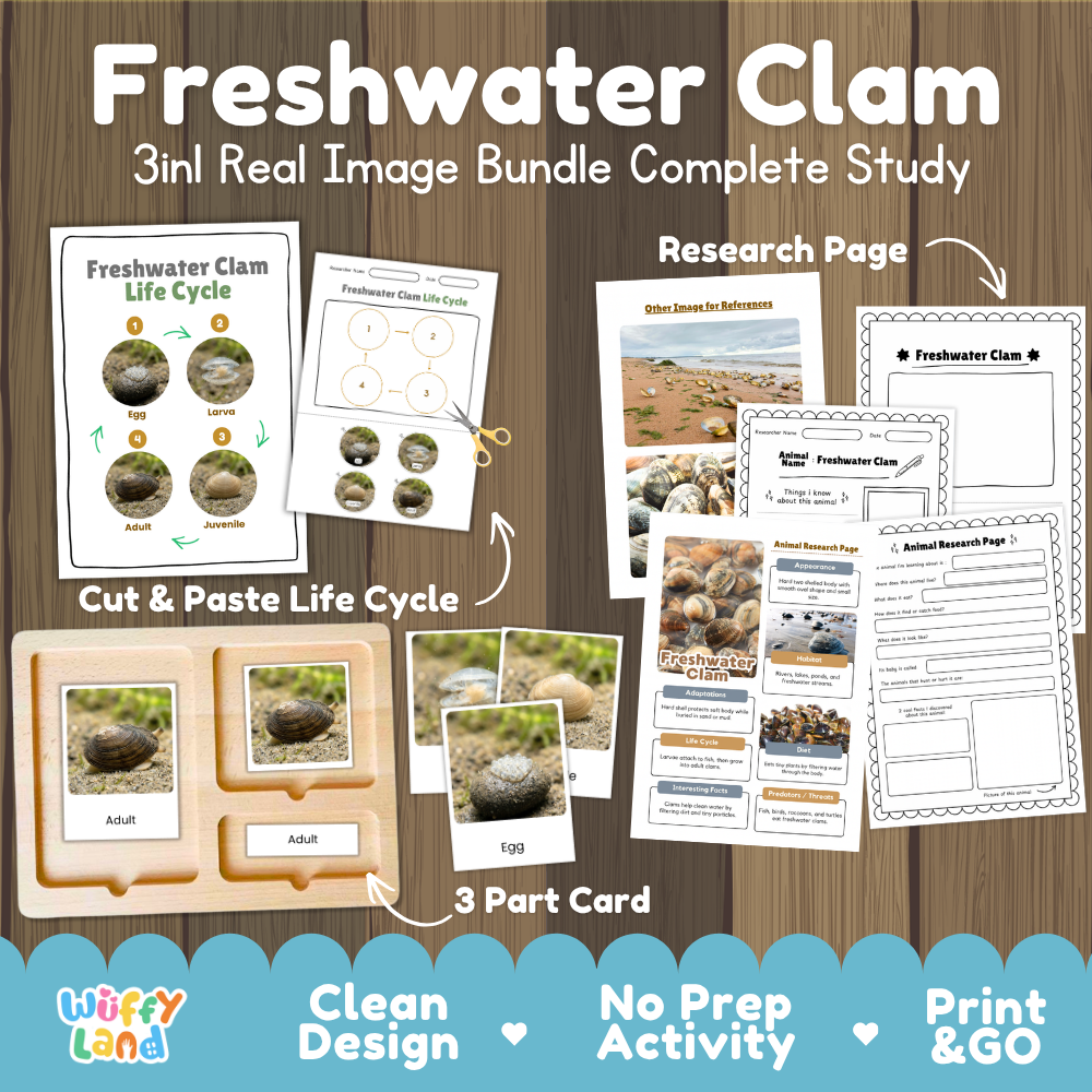 Freshwater clam 3-in-1 real image bundle complete study cover showing cut and paste life cycle, 3 part cards, and research pages