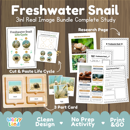 Freshwater Snail 3-in-1 real image bundle complete study cover showing cut and paste life cycle, 3 part cards, and research pages