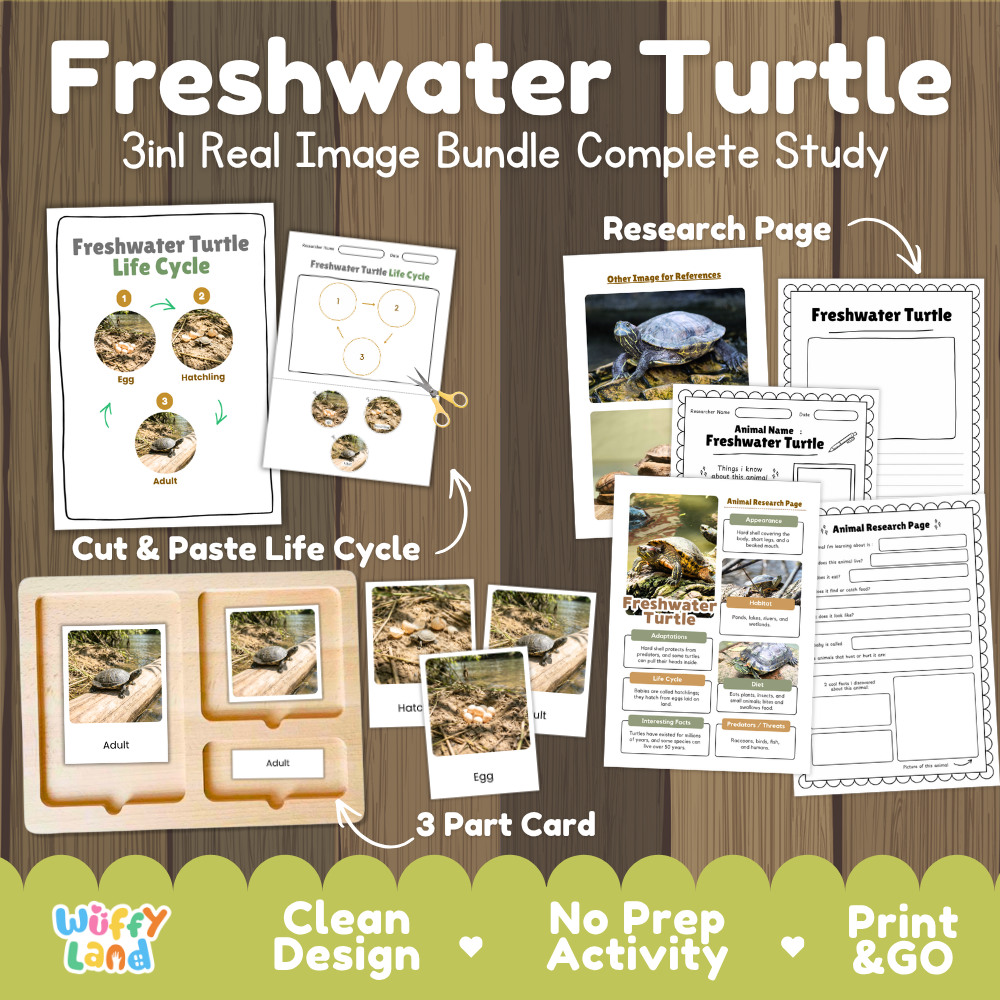 Freshwater turtle 3-in-1 real image bundle complete study cover showing cut and paste life cycle, 3 part cards, and research pages