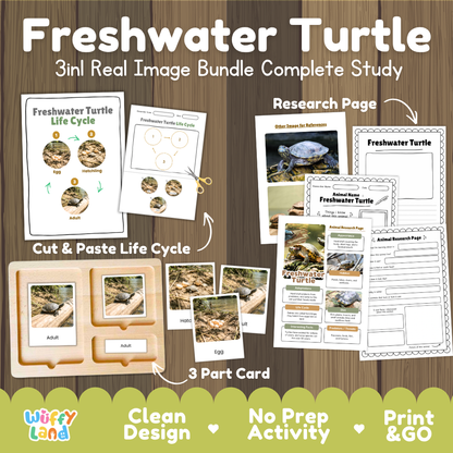 Freshwater turtle 3-in-1 real image bundle complete study cover showing cut and paste life cycle, 3 part cards, and research pages