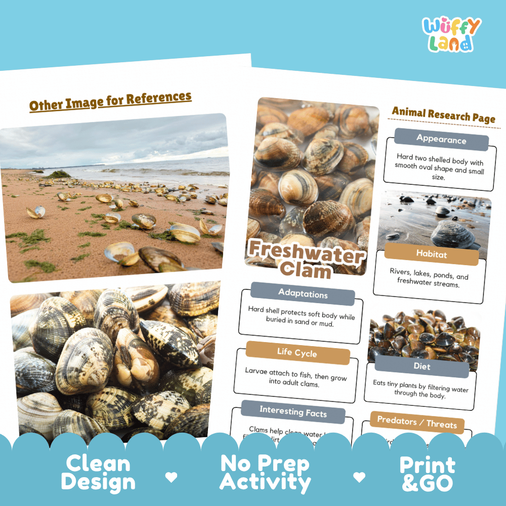 Freshwater Clam Animal Research Page Worksheets