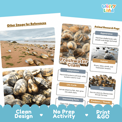 Freshwater Clam Animal Research Page Worksheets