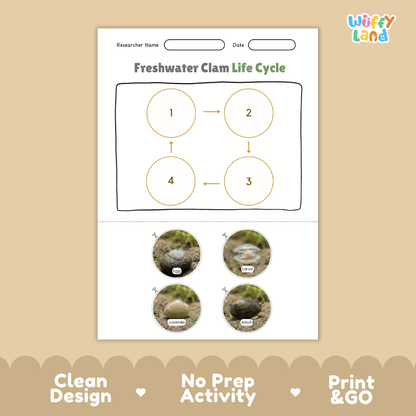 Freshwater Clam Life Cycle Poster and Cut and Paste Worksheet Activity