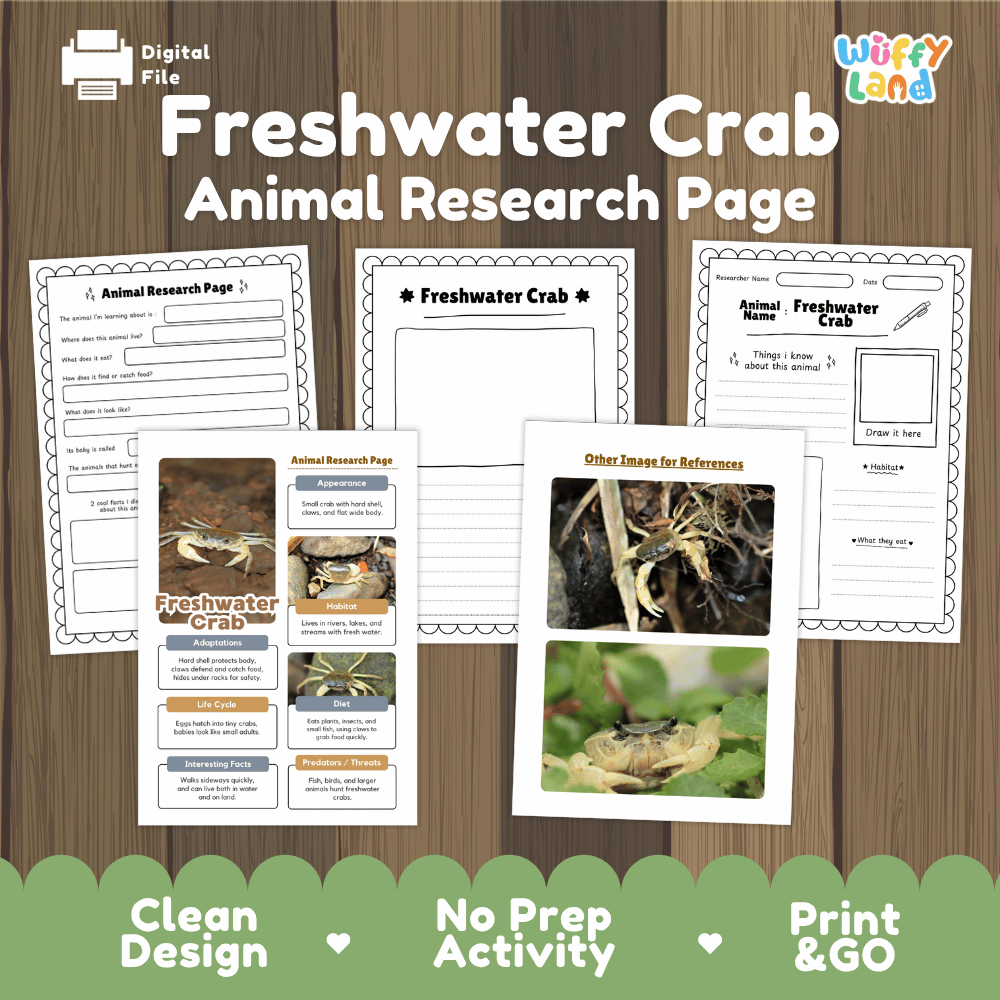 Freshwater Crab Animal Research Page Worksheets and Fact Sheet