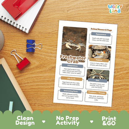 Freshwater Crab Animal Research Page Worksheets and Fact Sheet