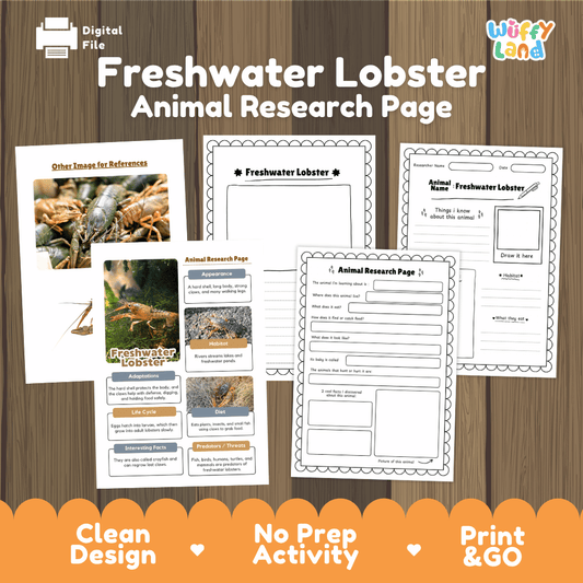 Clean design no prep print and go freshwater lobster crayfish crustacean stream pond animal life cycle study printable PDF pack for elementary science