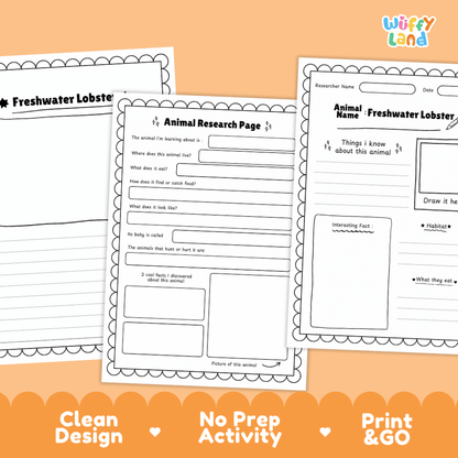 Freshwater Lobster Animal Research Page Worksheets