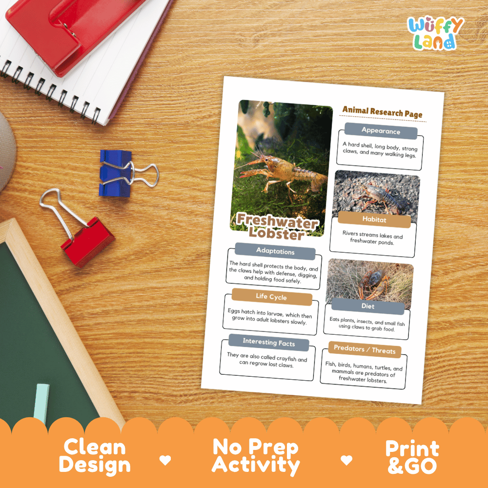 Freshwater Lobster Animal Research Page Worksheets