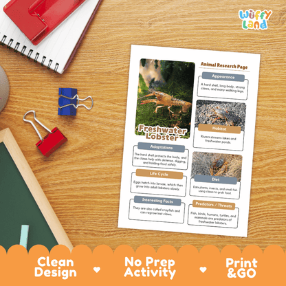 Freshwater Lobster Animal Research Page Worksheets