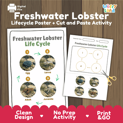 Freshwater Lobster Life Cycle Poster and Cut and Paste Worksheet Activity