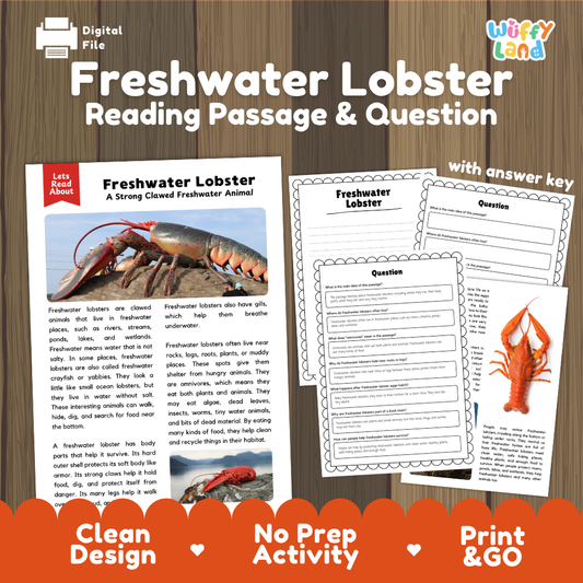 Freshwater Lobster Reading Passage and Questions Worksheets with Answer Key