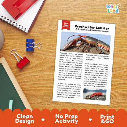 An educational activity sheet titled 'Freshwater Lobster' laid on a wooden desk, surrounded by school supplies like a spiral notebook, red and blue binder clips, and a red folder. The sheet includes a header, a photo of a lobster, a short text description, and a red banner at the bottom with the text 'Clean Design', 'No Prep Activity', and 'Print & GO'.