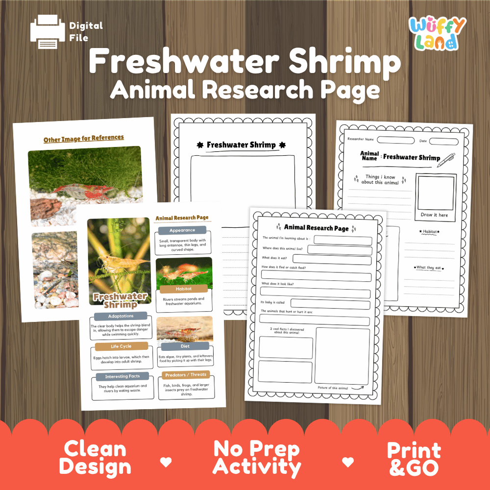 Freshwater Shrimp Animal Research Page Worksheets