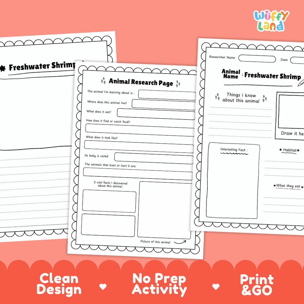 Freshwater Shrimp Animal Research Page Worksheets