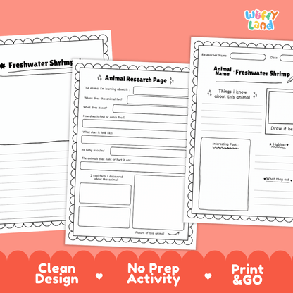 Freshwater Shrimp Animal Research Page Worksheets
